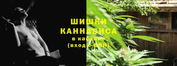 амф Горнозаводск