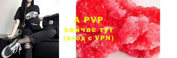 не бодяженный Горно-Алтайск