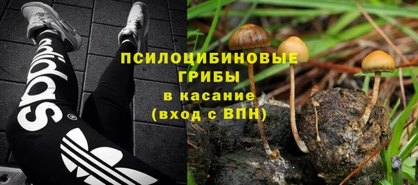 амф Горнозаводск