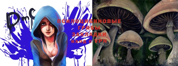 не бодяженный Горно-Алтайск