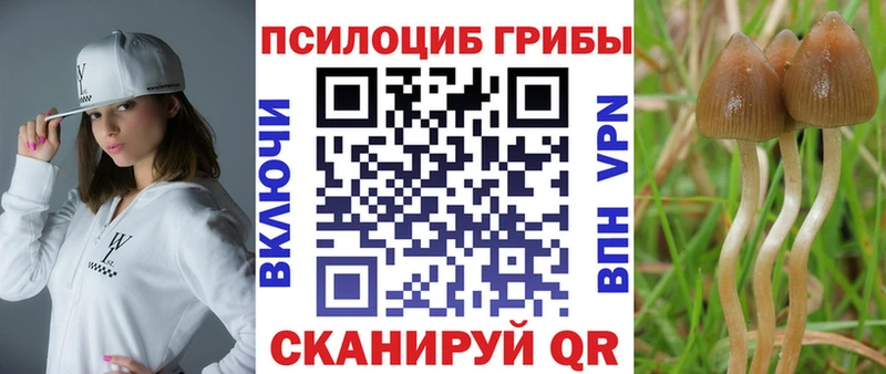 маркетплейс как зайти  Елец  Галлюциногенные грибы Magic Shrooms 